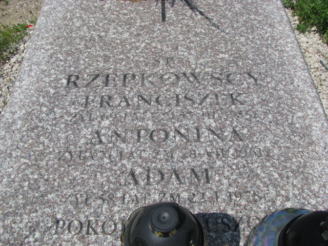 Adam Rzepkowski Janowiec - Grobonet - Wyszukiwarka osób pochowanych