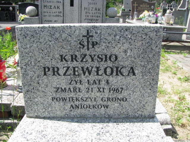 Krzysztof Przewłoka Janowiec - Grobonet - Wyszukiwarka osób pochowanych