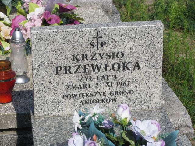 Krzysztof Przewłoka Janowiec - Grobonet - Wyszukiwarka osób pochowanych