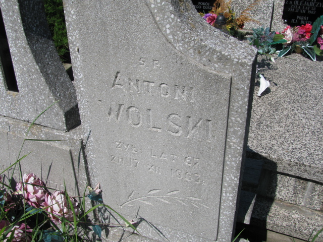 Antoni Wolski Janowiec - Grobonet - Wyszukiwarka osób pochowanych