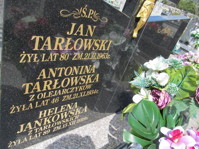 Antonina Tarłowska Janowiec - Grobonet - Wyszukiwarka osób pochowanych