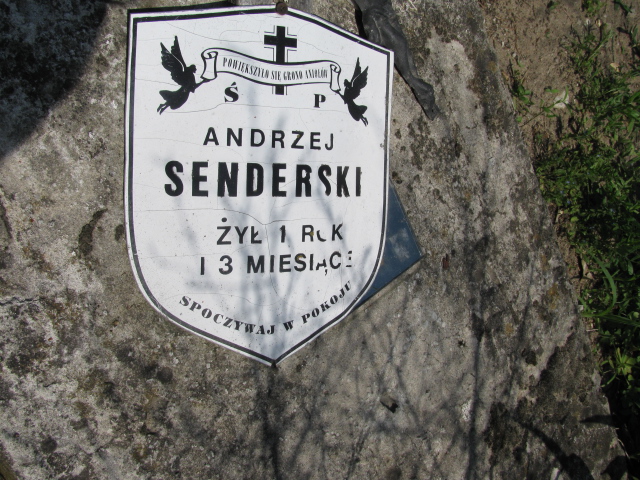 Andrzej Senderski Janowiec - Grobonet - Wyszukiwarka osób pochowanych