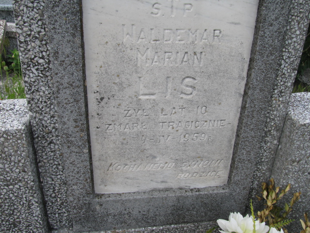  Lis Janowiec - Grobonet - Wyszukiwarka osób pochowanych